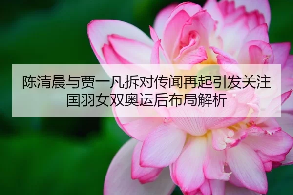 陈清晨与贾一凡拆对传闻再起引发关注国羽女双奥运后布局解析