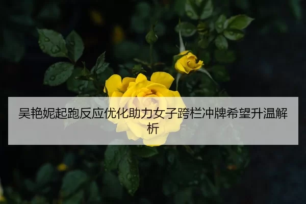 吴艳妮起跑反应优化助力女子跨栏冲牌希望升温解析