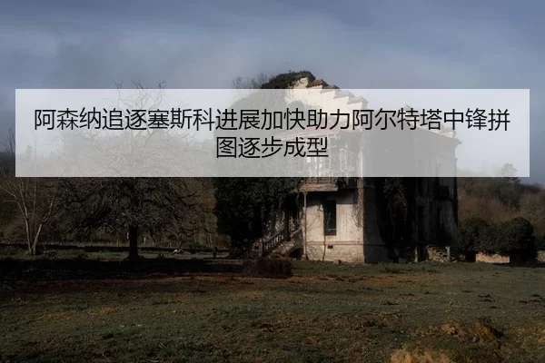 阿森纳追逐塞斯科进展加快助力阿尔特塔中锋拼图逐步成型