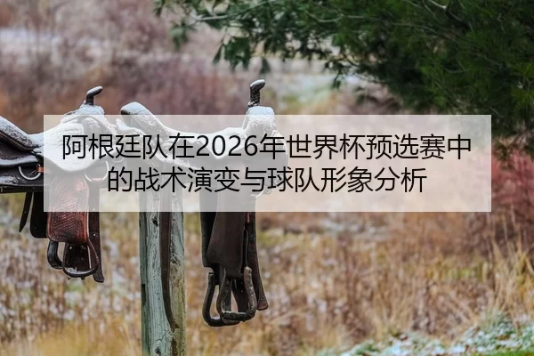 阿根廷队在2026年世界杯预选赛中的战术演变与球队形象分析
