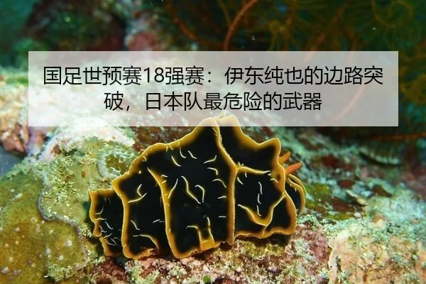 guo-zu-shi-yu-sai-qiang-sai-yi-dong-chun-ye-de-bian-lu-tu-po-ri-ben-dui-zui-wei-xian-de-wu-qi-2-705.jpg