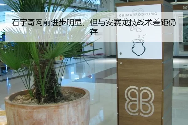 石宇奇网前进步明显，但与安赛龙技战术差距仍存
